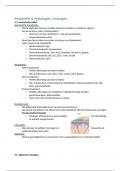 Samenvatting -  Anatomie & fysiologie