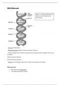 Summary -  Life Sciences (Biology)