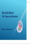Cell types and structure