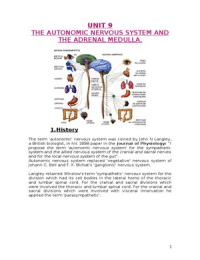 The autonomic nervous system and medulla. 