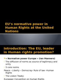 The Europen Union at the United Nations on Human Rights