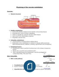Physiology of the Vascular Endothelium 
