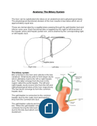 Anatomy: The biliary system 