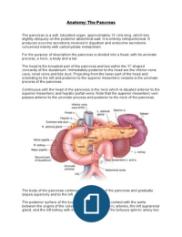 Anatomy: The pancreas