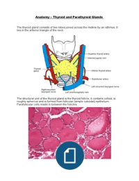 Anatomy - The Thyroid and Parathyroid Glands