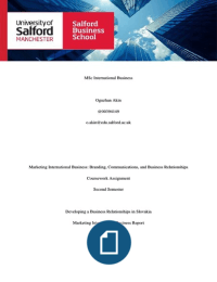 Marketing International Business Report of Developing a Business Relationships in Slovakia