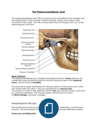 The Temporomandibular Joint 
