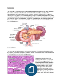 Anatomy of Pancreas