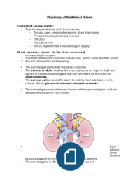 Physiology of the Adrenal Glands 