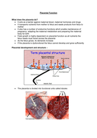 Placental Function 
