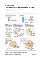 Silverthorn Hoofdstuk 9 - The central nervous system