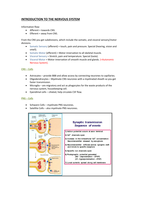 Nervous System 1: Introduction to the Nervous System 