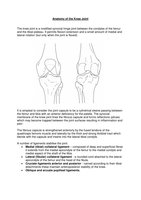 Anatomy of the Knee Joint