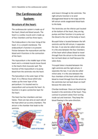 4-Newsletter on the Cardiovascular System