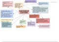 Elections mind maps