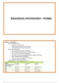 Biological Psychology Notes: Brain Scans, Sensory and Motor Systems, Object/Face Recognition & Agnosia/Prosopagnosia, Cerebral Lateralisation, Specialisation, Language & Brain, Producing/Recognising/Understanding Spoken Words and Aphasia, Spelling, Writin