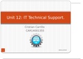 Unit 12 - IT Technical Support LO1 M2