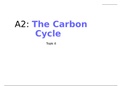 The Carbon Cycle and Energy Security Notes, Edexcel Geography A Level 2016