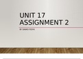 Unit 17 Assignment 2