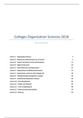 Summary Organization Sciences 2018