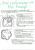 Gas exchange in the lungs