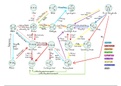 Organic Synthesis Maps 