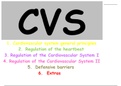 CVS powerpoint