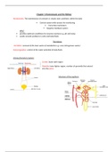Homeostasis and the Kidney Summary Sheet