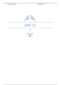 Unit 11 LO3 System Analysis & Design