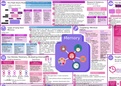 Psychology: Memory A3 Revision Poster