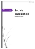 Voorbeeld verslag sociale ongelijkheid sociologie 
