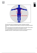 Body Movements & Joints