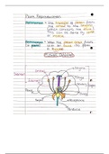 Plant Reproduction Notes