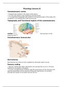 Sensory Nervous System Part II (Costanzo)
