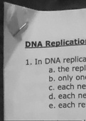Bio 104 summer 2019 DNA replication study questions for REESE Campbell