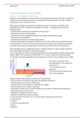 Summary Biorefinery (BCT-23306)