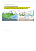 AQA Geography A Level Revision Notes 