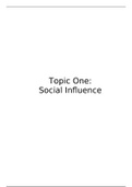 A* Social Influence Notes 