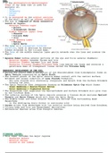Histology of the Eye and Associated Structures