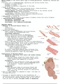 Histology of Muscle Tissue 