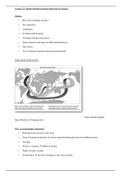Lec 29 - Marine mammal foraging behaviour & ecology
