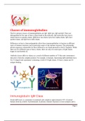 Classes of immunoglobulin 