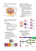MTM L10 Control of cell differentiation.pdf