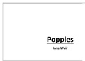 Detailed Analysis of Poppies, by Jane Weir