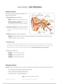 Ear Infections & Sinusitis