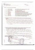 SPORTS MED 2: Chapter 13 Notes and Study Guide: Recognition and Management of Different Sports Injuries