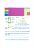 GCSE Triple Science revison notes/ guide