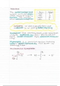 Haloalkanes, alcohols and reactions