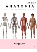 6 temas de Anatomía Humana 1