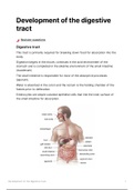 Development of the Digestive tract